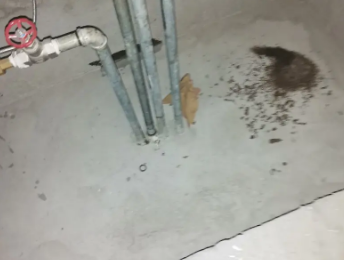 托克逊卫生间测漏水价格明细