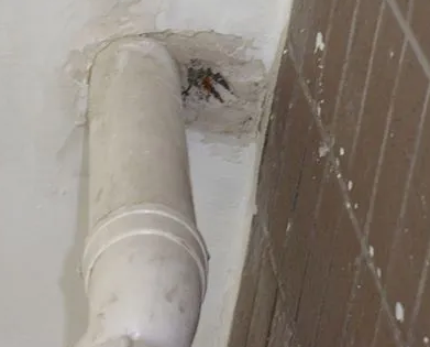 托克逊漏水检测哪家好